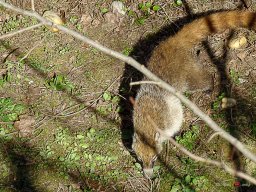 Tiergarten Schönbrunn am 23.03.2023